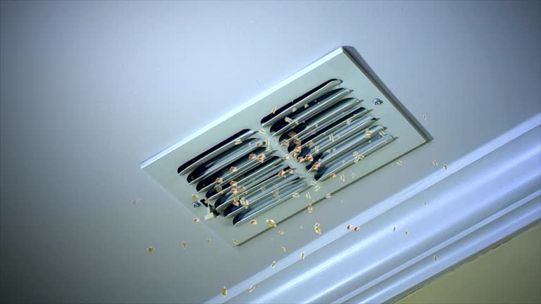 Best Ductwork Cleaning Services  in , NE